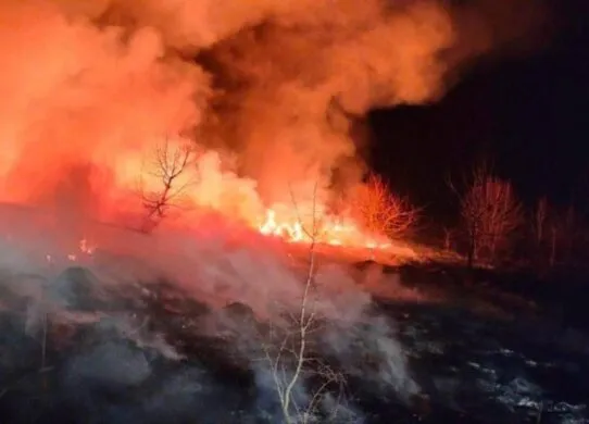 124 пожежі за добу: Житомирщина у вогні через випалювання сухої трави
