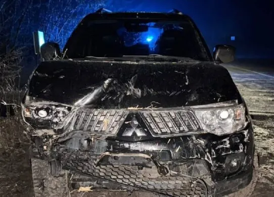 У Житомирському районі викрадач авто, опинився у кюветі, тікаючи від поліції