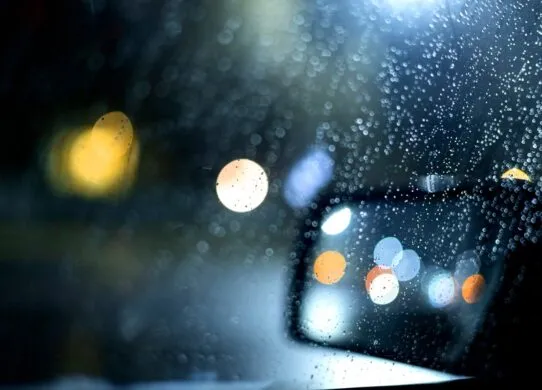 Синоптики прогнозують дощі, заморозки і навіть сніг на Житомирщині