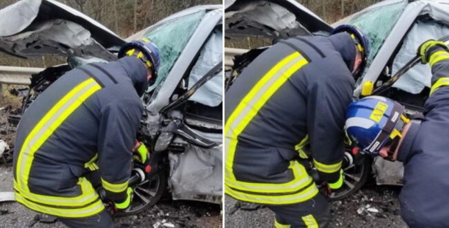 ДТП поблизу Житомира