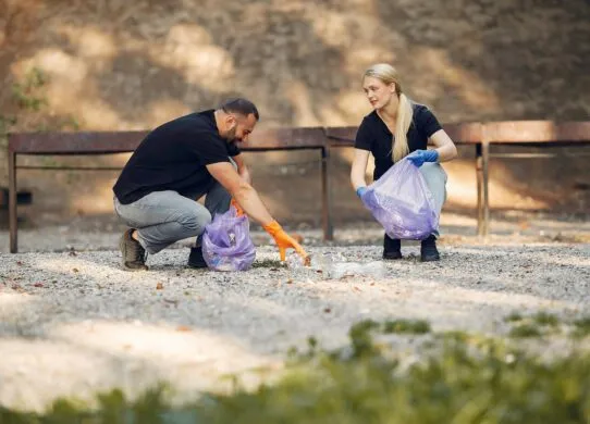 У Житомирі відзавтра починається весняна толока: що це означає?