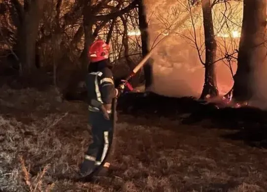 З початку року на Житомирщині загасили 221 пожежу сухої трави