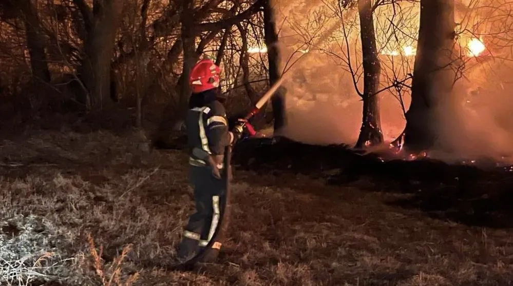 З початку року на Житомирщині загасили 221 пожежу сухої трави