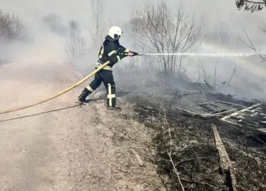 На Житомирщині пожежа через сухостій забрала життя 84-річного чоловіка
