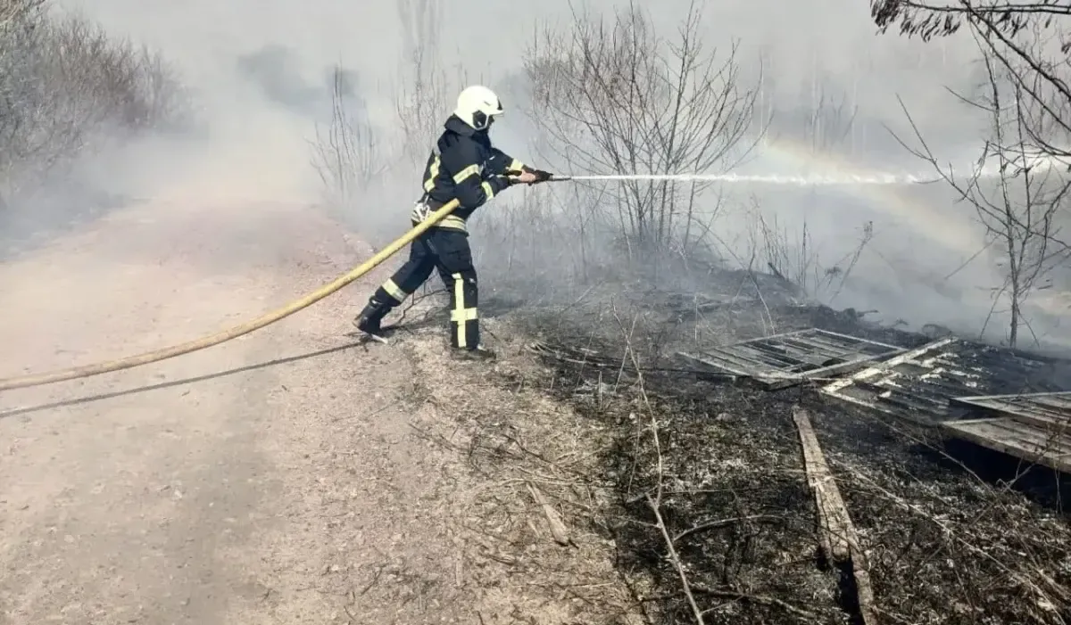 На Житомирщині пожежа через сухостій забрала життя 84-річного чоловіка