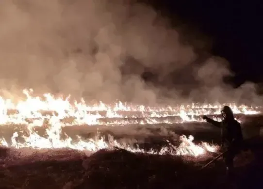 Ще одна людина на Житомирщині стала жертвою пожежі