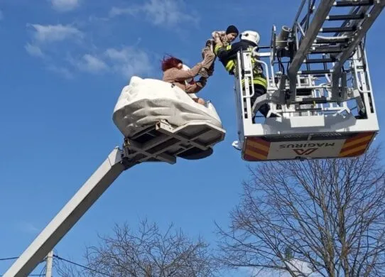 На атракціоні у Житомирі застрягли жінка з дитиною