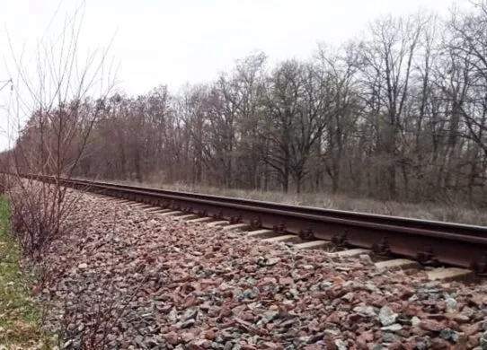 На залізничних коліях у Житомирській області загинув літній чоловік