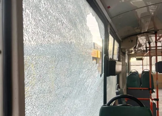 У Житомирі пасажир з собакою без повідка розбив каменем вікно у тролейбусі