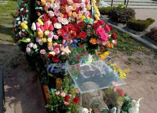 На Смолянському кладовищі у Житомирі пограбували могилу військовослужбовця