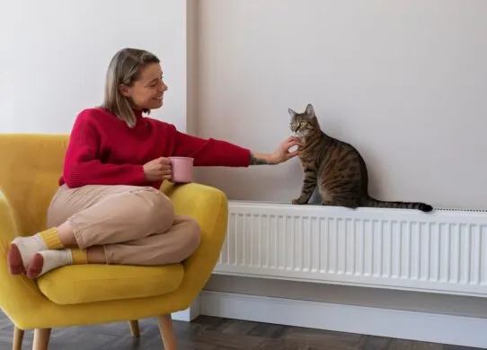 У Житомирі завершився опалювальний сезон: де тепло ще не відключили?