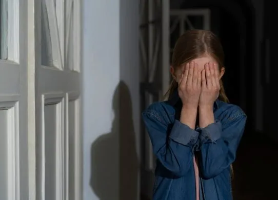 На Житомирщині 13-річний підліток зґвалтував молодшу сестру, щоб заробити на порно