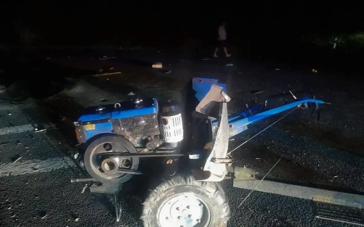 Фатальна ДТП на Житомирщині: на мотоблоці загинув 8-річний хлопчик і постраждали 6 дітей