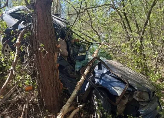 На Житомирщині водій не впорався з керуванням та врізався у дерево - є постраждалі