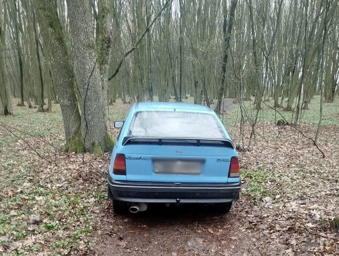 На Житомирщині пʼяний водій збив жінку з дитиною та втік