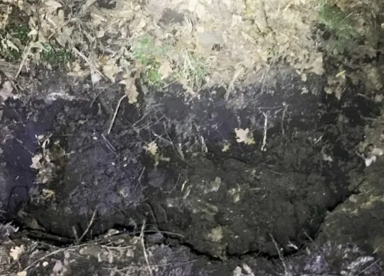 У Житомирському районі чоловіка вивезли у поле та змушували копати собі яму