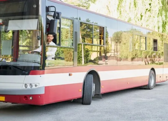 Поминальний день у Житомирі: що треба знати про рух біля кладовища та громадський транспорт