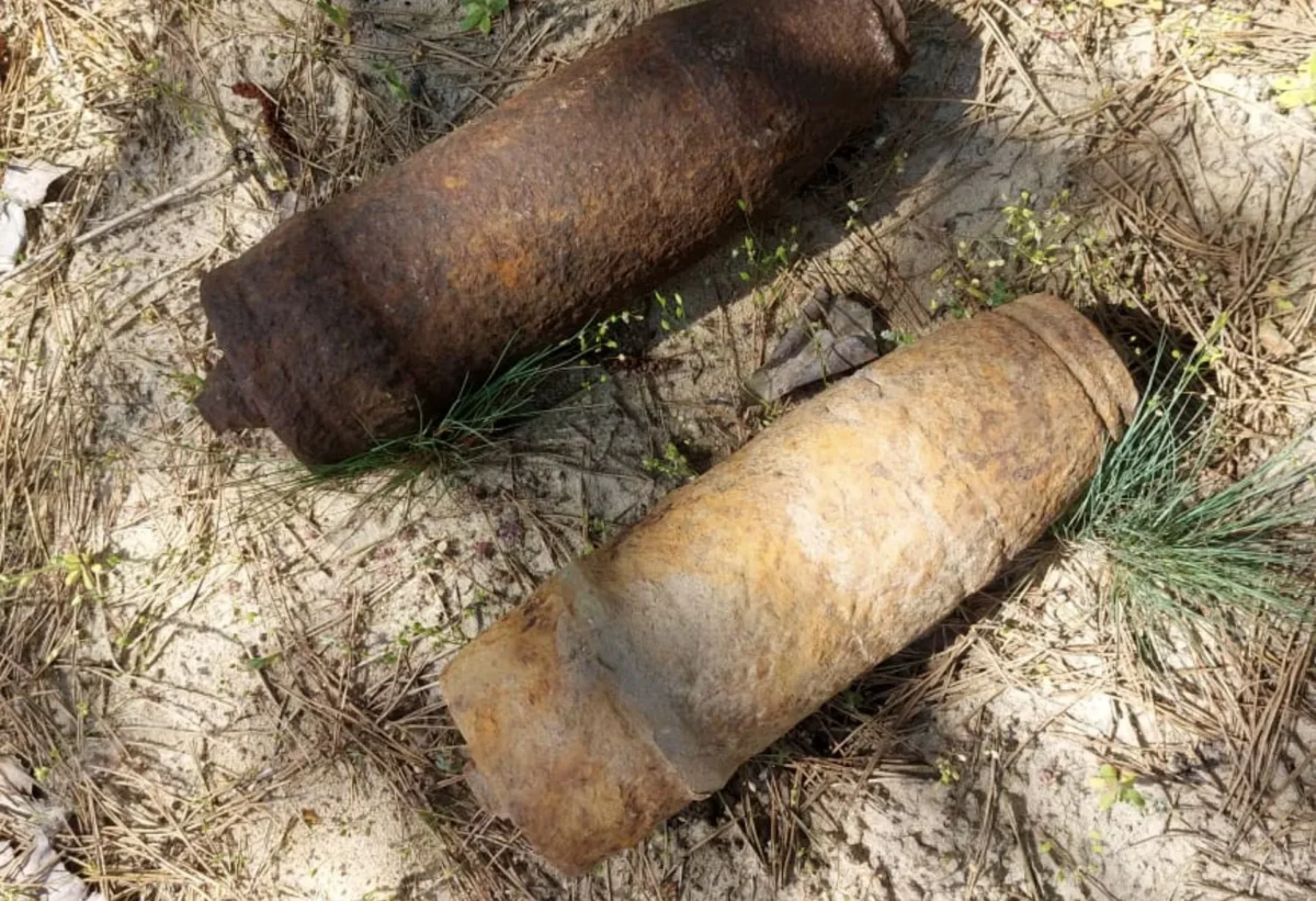 У лісі на Житомирщині діти натрапили на боєприпаси