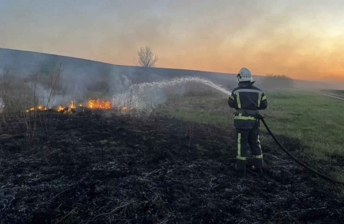 У Житомирі рятувальники гасили очерет, а знайшли мертвого чоловіка