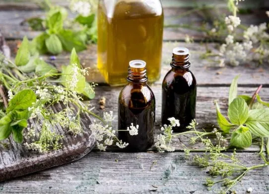 Як українці все частіше обирають природну підтримку здоров’я