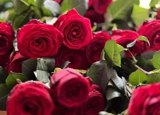 Житомир прощається з Героєм Олександром Тимощуком через 8 місяців після його загибелі