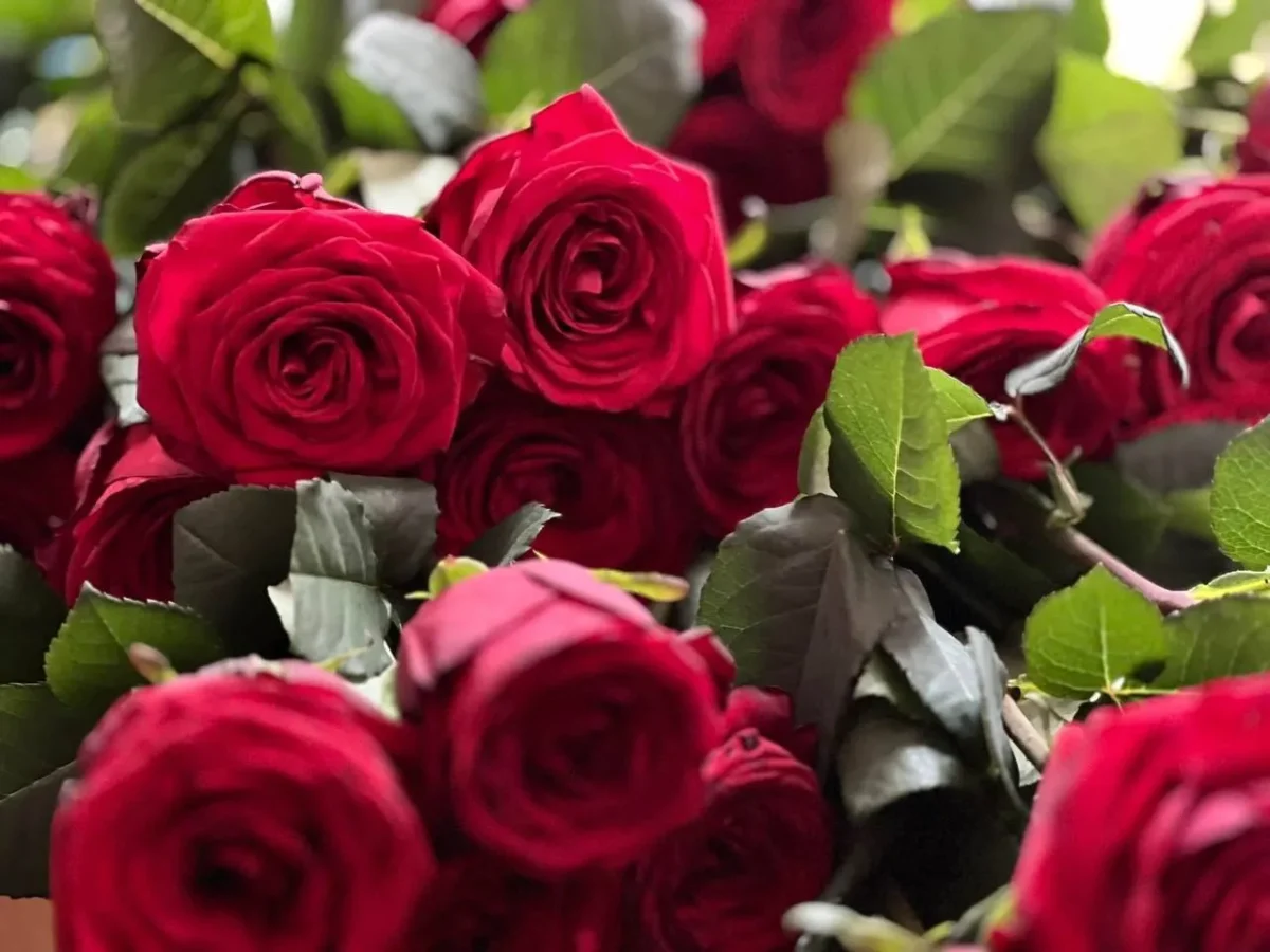 Житомир прощається з Героєм Олександром Тимощуком через 8 місяців після його загибелі