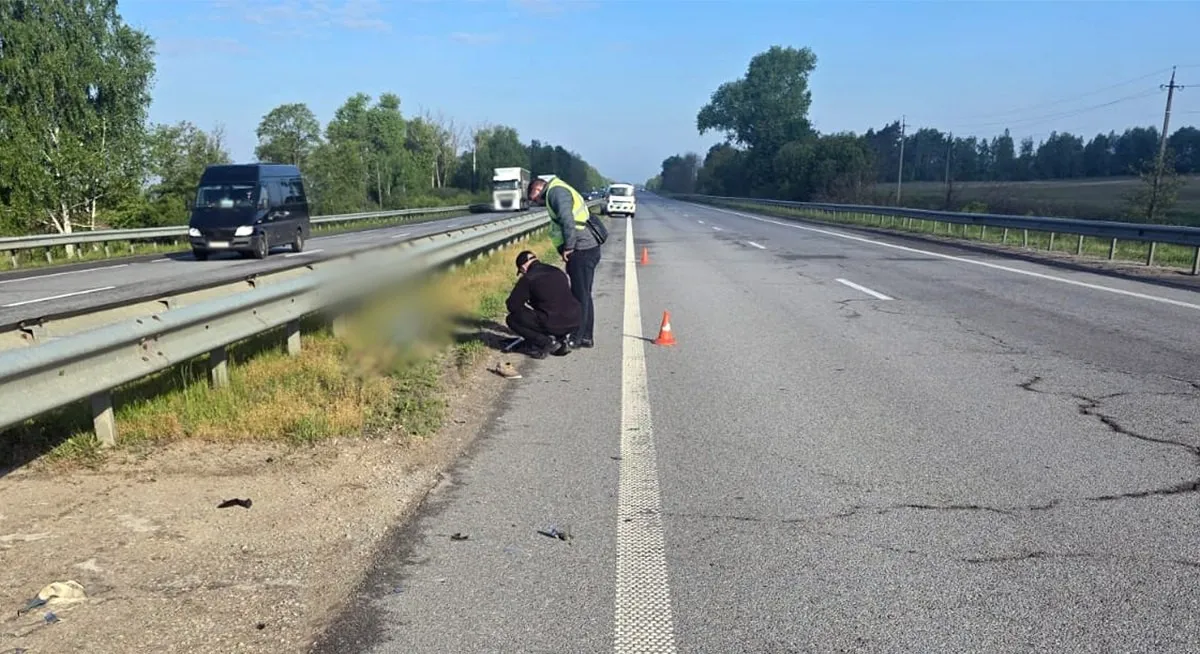 Смертельна ДТП на Житомирщині: пенсіонера збили та залишили помирати