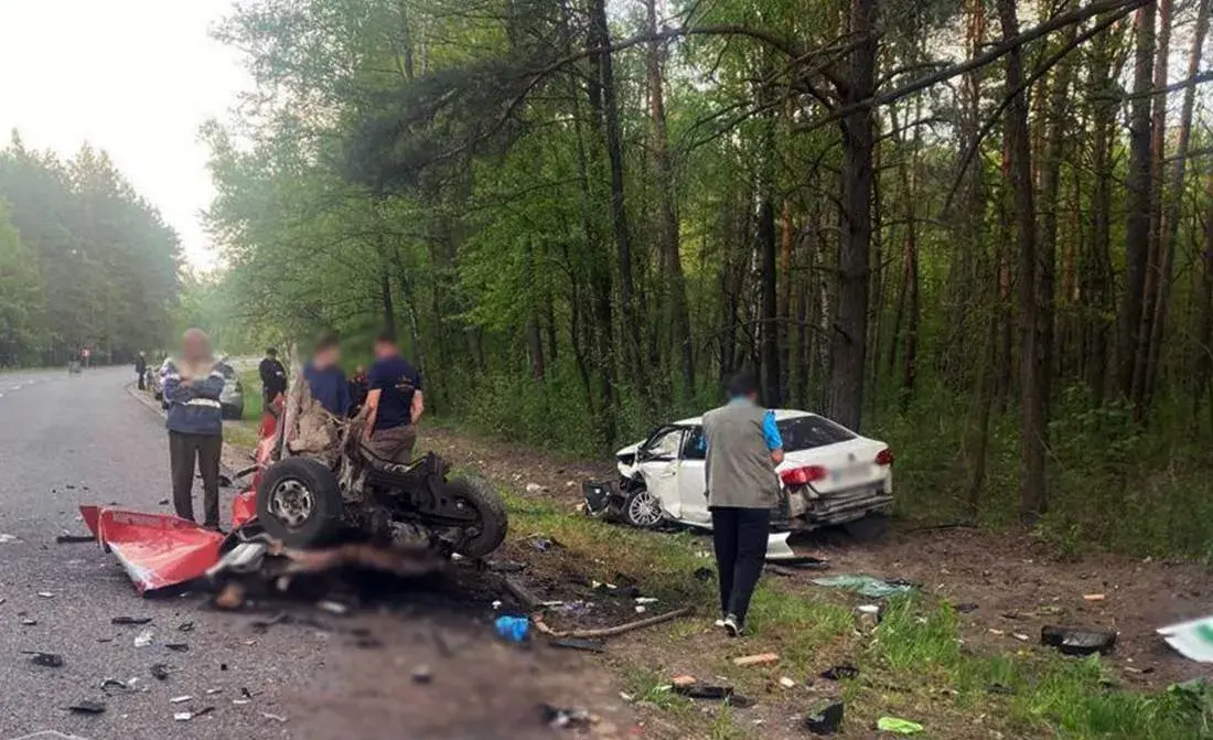 Двоє людей загинули в ДТП на Житомирщині, бо водій не впорався з керуванням