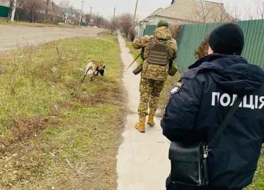 Зникли підлітки: у Житомирському районі всю ніч шукали дітей