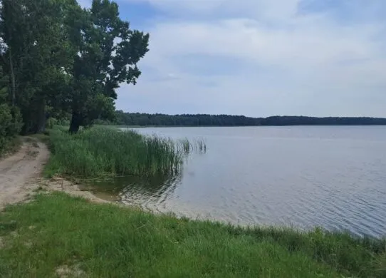Місце вибуху гранати на Житомирщині, де загинула жінка під час відпочинку біля водойми — червень 2025