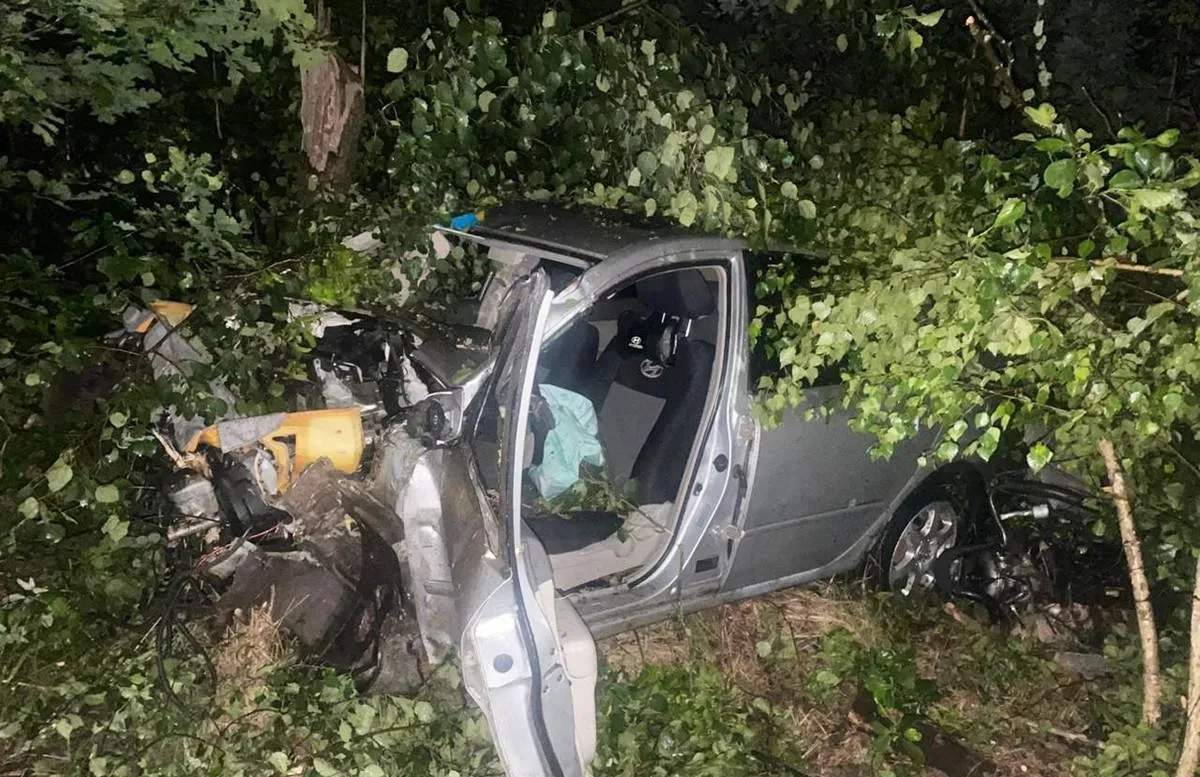 Смертельна ДТП на Житомирщині: п'яний водій не впорався з керуванням