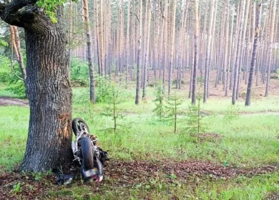 У Житомирському районі трагічно загинув мотоцикліст