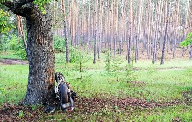 У Житомирському районі трагічно загинув мотоцикліст