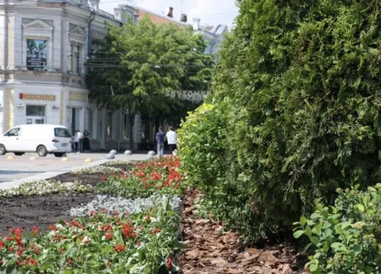 У Житомирі висадили квіти на майдані Корольова (фото)