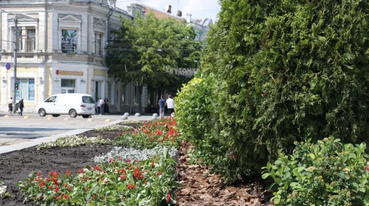 У Житомирі висадили квіти на майдані Корольова (фото)