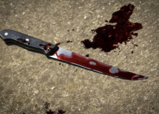 18-річний житомирянин наніс перехожому 95 поранень, бо той не дав цигарки