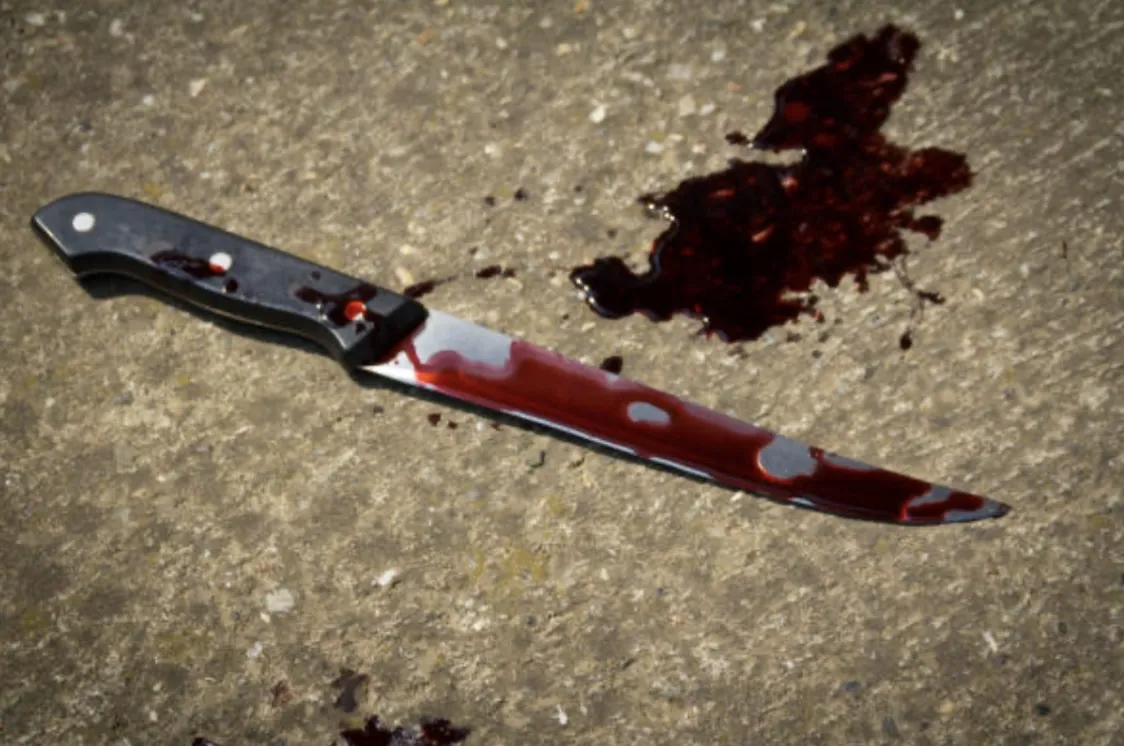 18-річний житомирянин наніс перехожому 95 поранень, бо той не дав цигарки