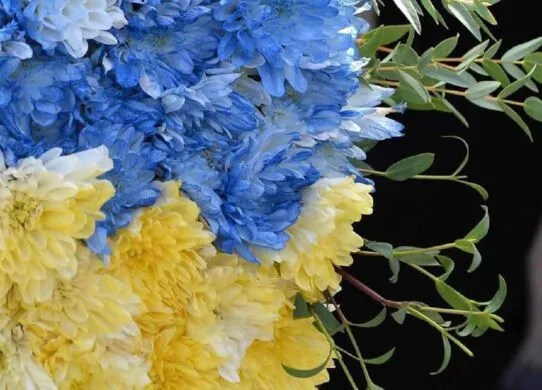 На війні загинув Любомир Нідзельський з Житомирської області