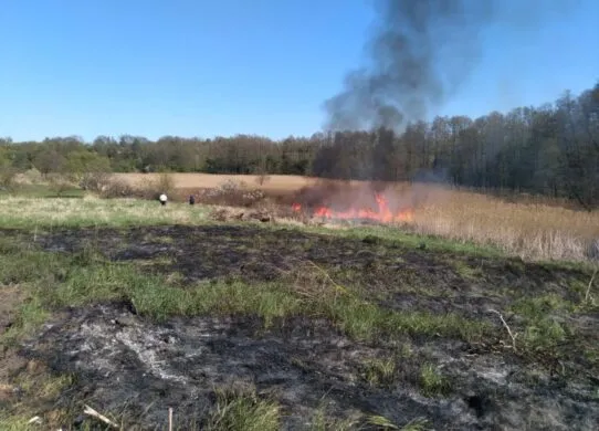 Пожежна небезпека 2-4 липня на Житомирщині