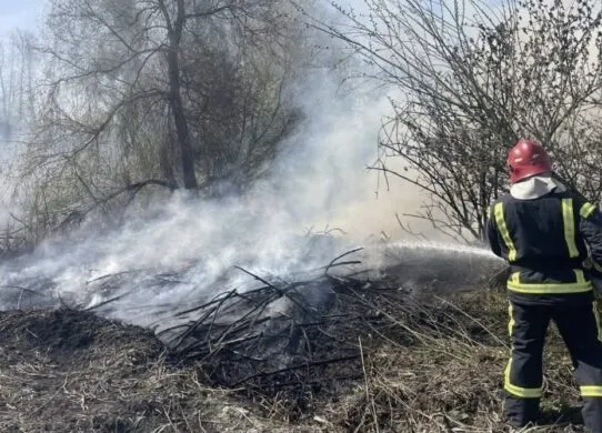 На Житомирщині за добу сталося 4 пожежі через суху траву