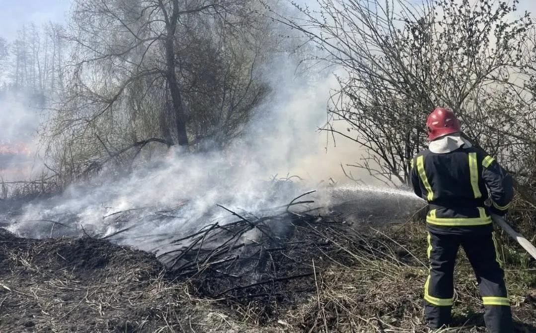 На Житомирщині за добу сталося 4 пожежі через суху траву