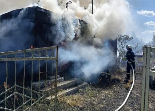 Пожежа сухостою біля будинку в селі Перлявка Житомирського району — рятувальники приборкують полум’я