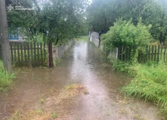 Негода на Житомирщині: рятувальники прибрали повалені дерева та відкачали сотні кубів води