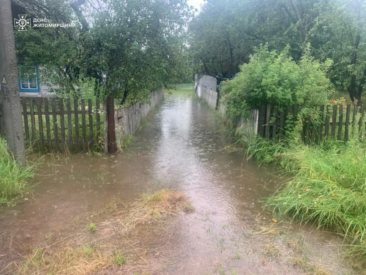 Негода на Житомирщині: рятувальники прибрали повалені дерева та відкачали сотні кубів води