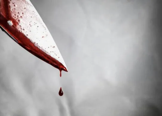 Сімейна трагедія на Житомирщині: чоловік вбив дружину та її матір на власному дні народженні