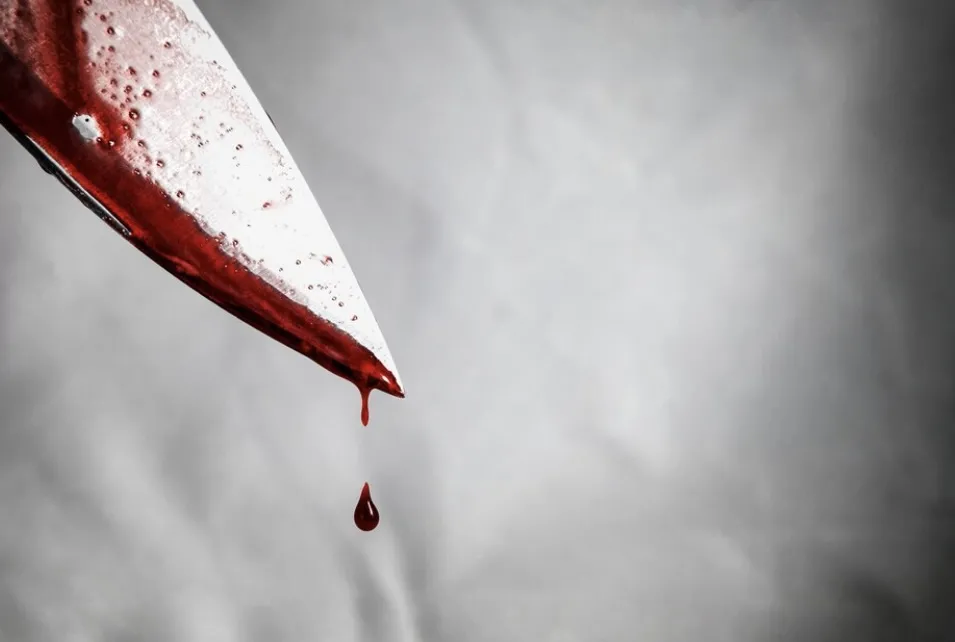 Сімейна трагедія на Житомирщині: чоловік вбив дружину та її матір на власному дні народженні