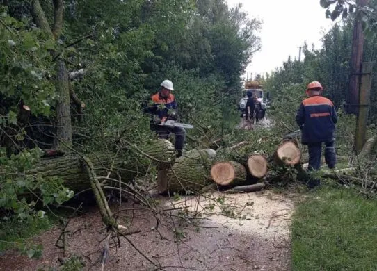 Відключення світла у Житомирській області через негоду