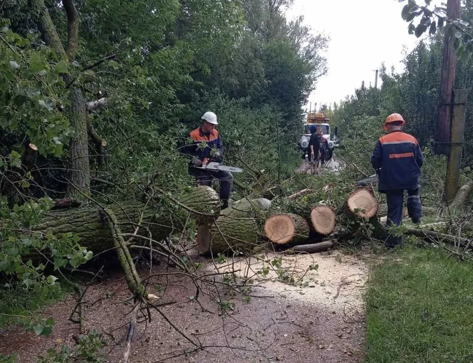 Відключення світла у Житомирській області через негоду