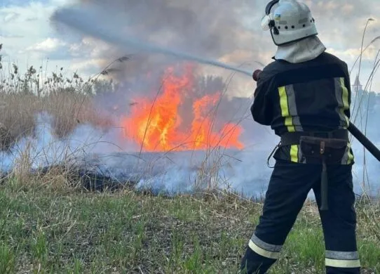 Пожежі на Житомирщині: за добу рятувальники загасили 5 загорянь сухостою