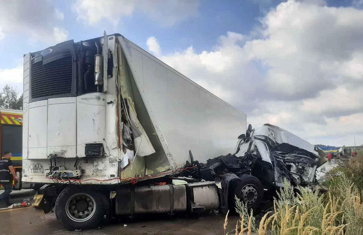 Лобове зіткнення у Житомирському районі: обидва водії загинули